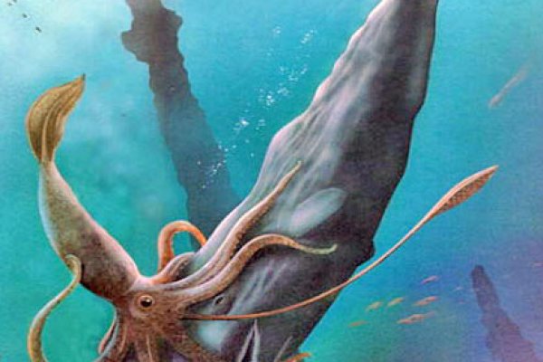 Не работает сайт kraken