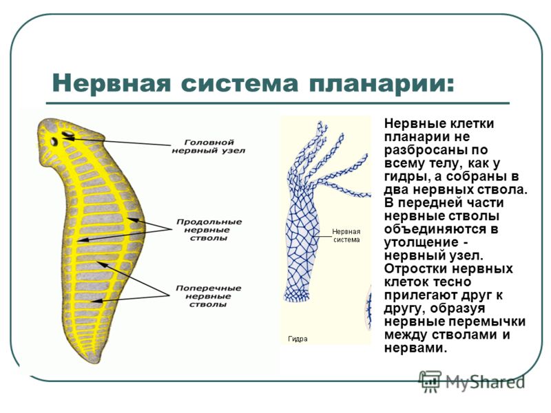 Кракен оригинальная ссылка для тор