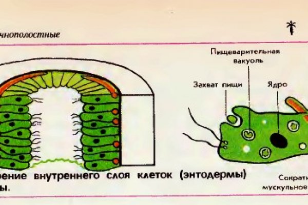 Не получается зайти на кракен